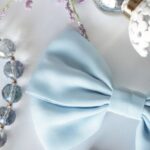 Accessories - Blue Bow Accessory